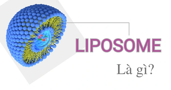 Công nghệ Liposome là gì?