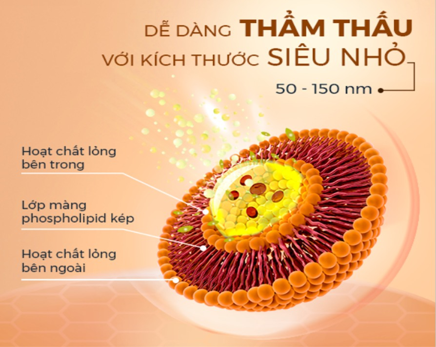 Ưu điểm của Liposome có trong mỹ phẩm