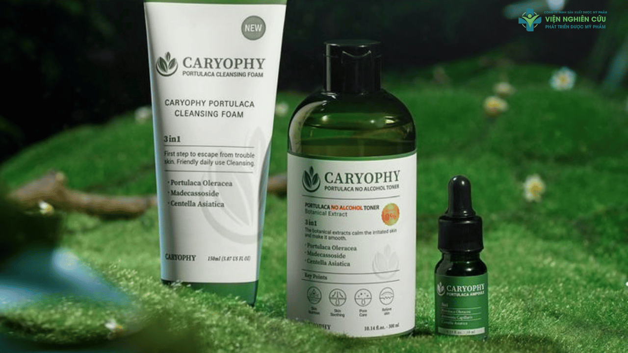 Caryophy là thương hiệu gì_ Có đáng tin cậy không