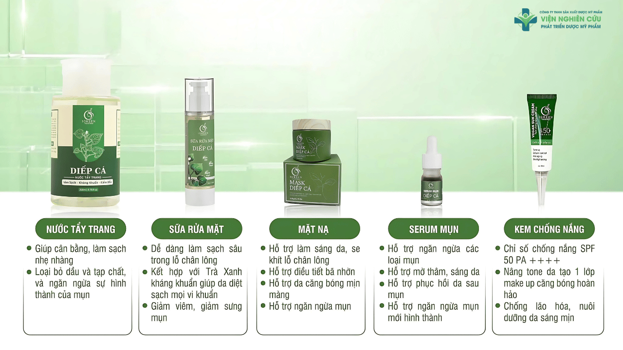 Các dòng sản phẩm chính của Igreen diếp cá